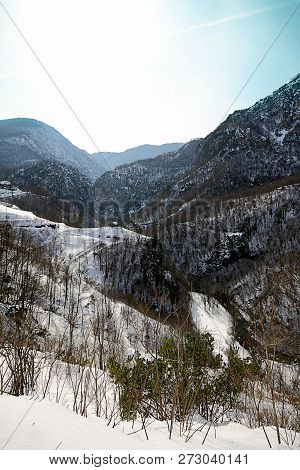 Under The Snow In A Winter Day