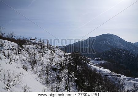 Under The Snow In A Winter Day