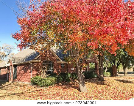 Typical Entrance Of American House In Fall Season With Colorful Tree