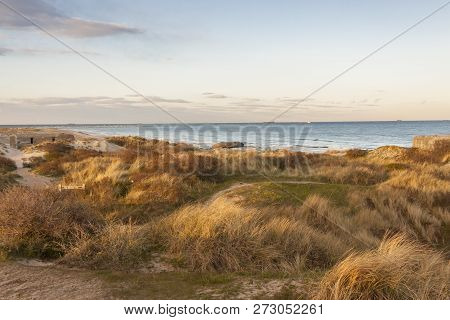 Beach Next To Skagen In The Northern Part Of Denmark.