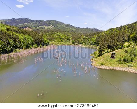Trunks Lake In Green Forest. Cuejdel Lake Is The Biggest Natural Dam Lake In Romania. It Has Its Ori