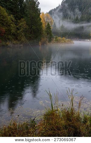 Moody Autumn Day