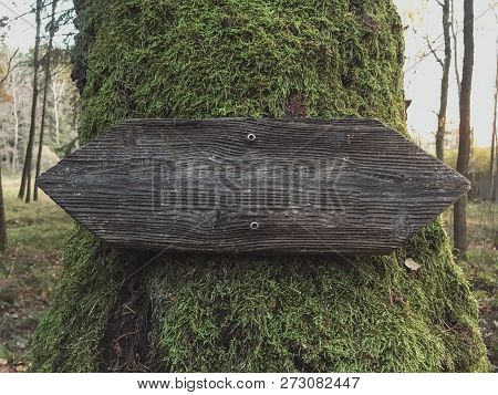 Wooden Trail Sign In A Forest For Hikers Close-up