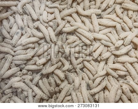 White Maggots. Large Pile Of Worms. Fishing Lure