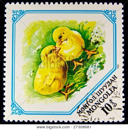 Mongolie - CIRCA 1982: A timbre montre image d'un poulets, série, vers 1982