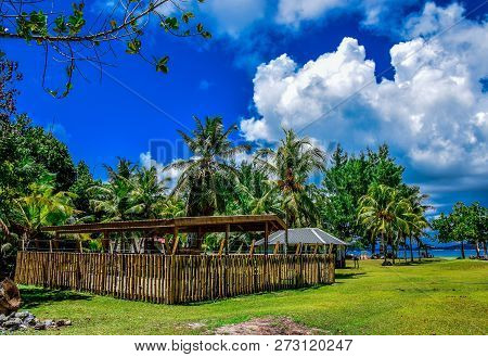 Bamboo Fence Ntar The Seashore With Palm Trees On The Backgrownd