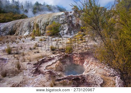 Waimangu Geothermal Image & Photo (Free Trial) | Bigstock