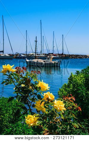 Small White Boat And Soft Warm Yellow Roses On Vibrant Blue Sea