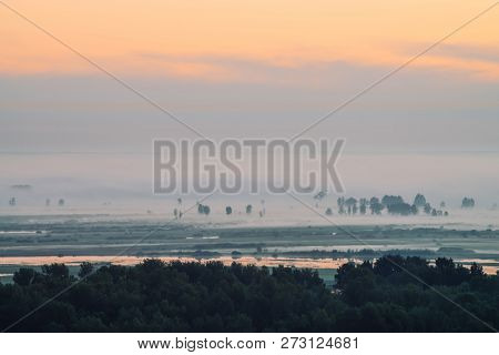 Mystic View On Forest Under Haze At Early Morning. Mist Among Tree Silhouettes Under Predawn Sky. Go