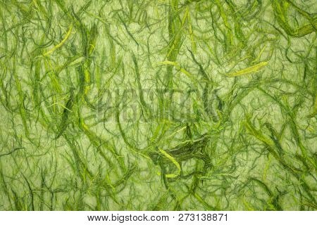 background of chunky kozo artichoke green mulberry paper with random fiber pattern