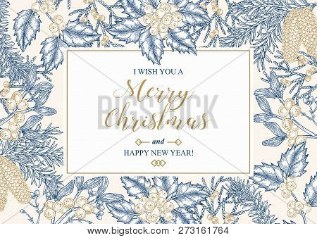 Hand Drawn Christmas Card With Winter Plants. Spruse, Holly, Mistletoe, Juniper And Cones Vector Ill