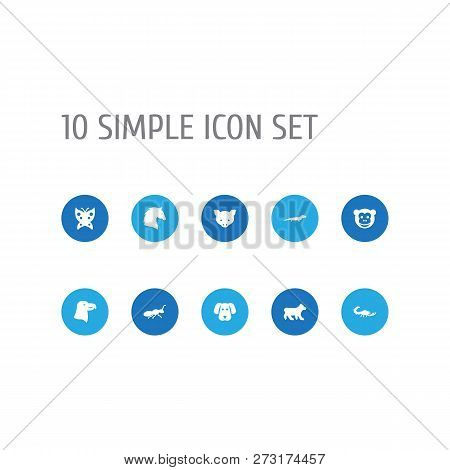 Set Of 10 Animal Icons Set. Collection Of Dog, Bear, Horse And Other Elements.