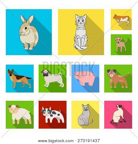 Vector Design Of Animal And Habitat Icon. Set Of Animal And Farm Stock Symbol For Web.