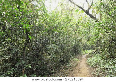 Foothpath To Waterfall At Jetkod-pongkonsao Travel Location In Thailand
