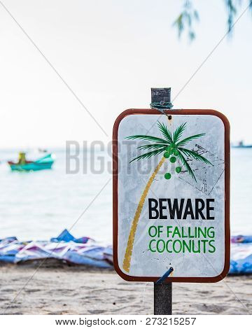 Beware Of Falling Coconuts Sign On A Beach In Ko Tao, Thailand