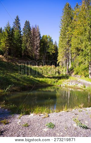 Beautiful Scenery Of The Forest And The Blue Sky Of The Carpathian Ukraine.