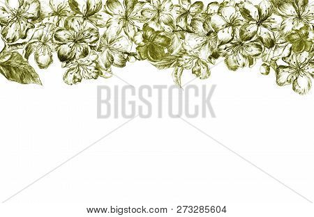 Hand Drawn Charcoal Pencil Edging Light Green Flowers Of The Pulm Blossoms, Leaves, Petals And Buds 