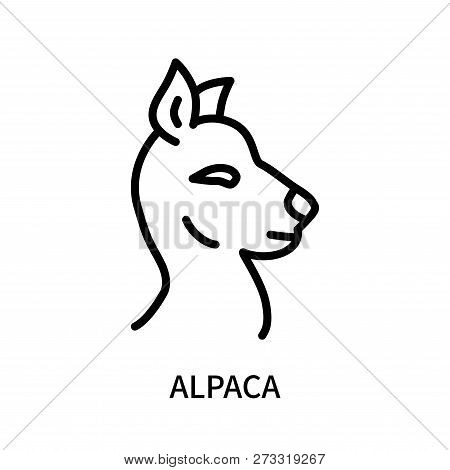 Alpaca Icon Isolated On White Background. Alpaca Icon Simple Sign. Alpaca Icon Trendy And Modern Sym