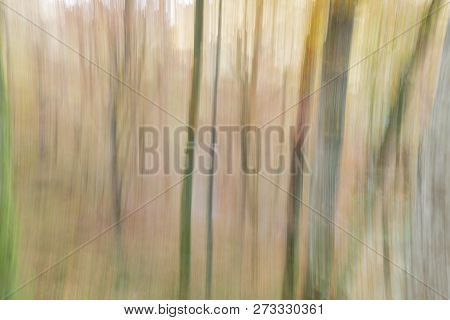 Abstract Photography, With Intentional Camera Movement, Of Woodland Trees In Gorbea, Basque Country,