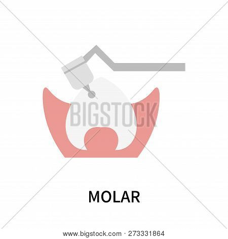 Molar Icon Isolated On White Background. Molar Icon Simple Sign. Molar Icon Trendy And Modern Symbol
