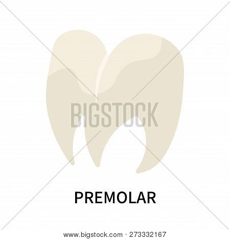 Premolar Icon Isolated On White Background. Premolar Icon Simple Sign. Premolar Icon Trendy And Mode