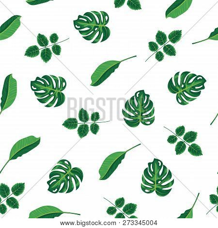 Pattern Tropical Green Leaves Of Plant, Palm And Tree On White Background. Seamless Pattern Green Fo