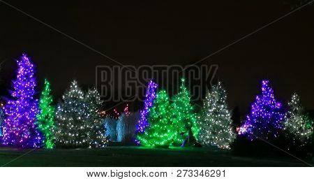 Christmas Lights Festival And Celebration In Hudson Gardens, Littleton, Colorado
