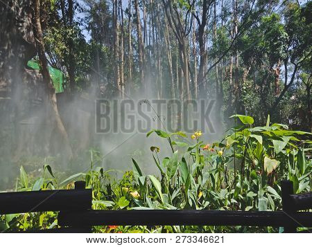 Beautiful Garden With Flowers In Shenzhen City, China