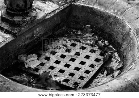 Details Of A Fountain In Auntumn. Black And White Shot.