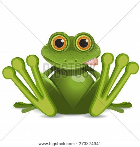 Stock Illustration Fat Frog On A White Background