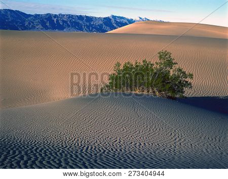 Sand Dune Formations In Death Valley National Park, California, Usa