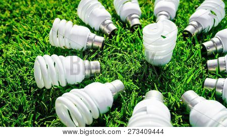 Energy Saving Light Bulbs On Grass Forming Flower. Green Energy Concept