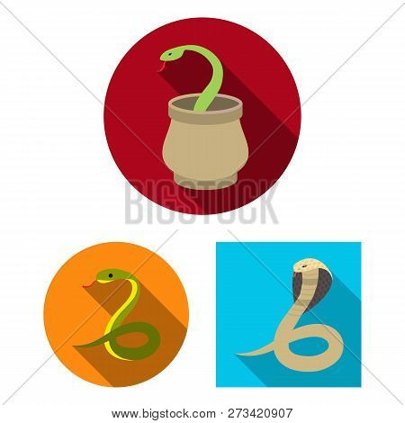 Vector Design Of Snake  And Cobra  Symbol. Collection Of Snake  And Tattoo Stock Vector Illustration