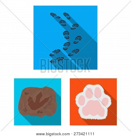 Vector Design Of Track  And Footstep Symbol. Collection Of Track  And Silhouette  Vector Icon For St