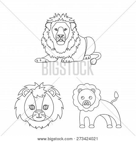 Vector Illustration Of Animal  And Jungle Symbol. Collection Of Animal  And Funny Stock Vector Illus