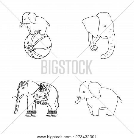 Vector Design Of Elephant And Asian Sign. Collection Of Elephant And Elephant Stock Vector Illustrat