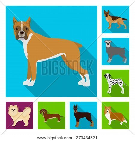 Vector Illustration Of  Cute  And  Logo. Collection Of  Cute  And  Vector Icon For Stock.