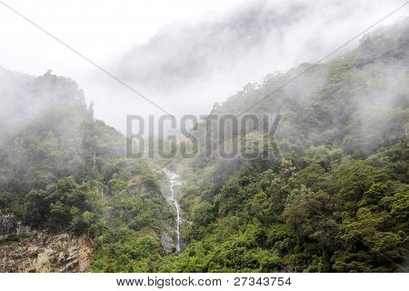 Cloud Forest