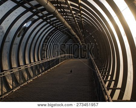 Elevated Pedestrian Crossing In Moscow In Summer, Russia