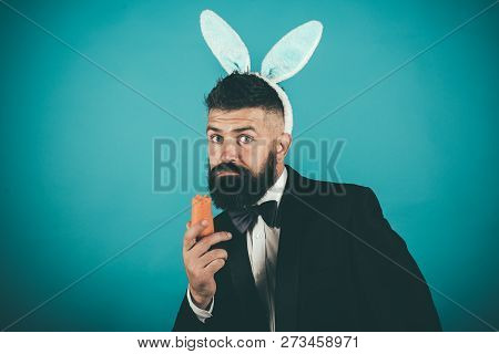 Funny Bunny Man On Easter Day. Happy Easter And Holiday. Nibbles A Carrot Like A Hare. Spring Holida