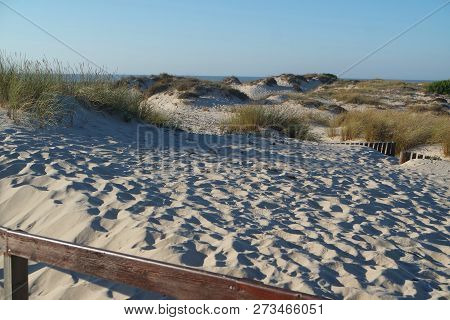 Sand Dunes Of Sao Jacinto Beach Near Aveiro