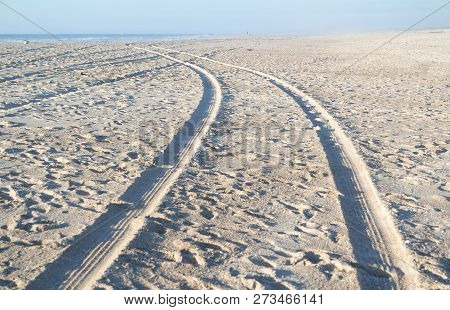 Sand Dunes Of Sao Jacinto Beach Near Aveiro