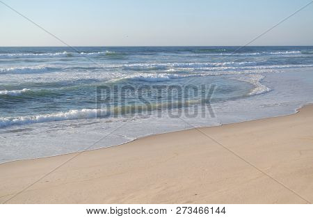 Sand Dunes Of Sao Jacinto Beach Near Aveiro