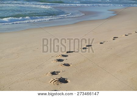 Sand Dunes Of Sao Jacinto Beach Near Aveiro