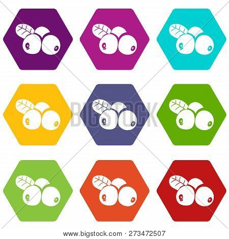 Lingonberry Icons 9 Set Coloful Isolated On White For Web