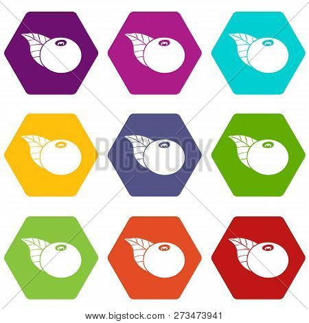 Bearberry Icons 9 Set Coloful Isolated On White For Web