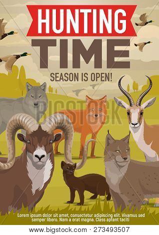 Hunting Open Season And Hunter Hunt Adventure Poster. Vector Wild Forest Animals And Birds, Wolf Or 