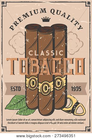 Cigars And Tobacco Retro Poster. Vector Cigarettes With Cuban Havana Premium Quality Label And Cutte