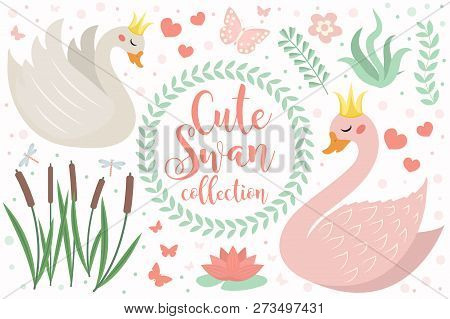 Cute Swan Princess Character Set Of Objects. Collection Of Design Element With Swans, Reeds, Water L
