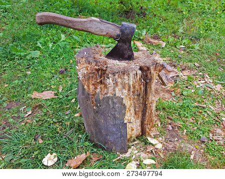 Axe In The Chopping Block On The Background Of Green Grass